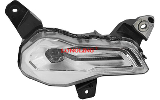 ZY-DF-008 FOG LIGHT RH For DAF XG